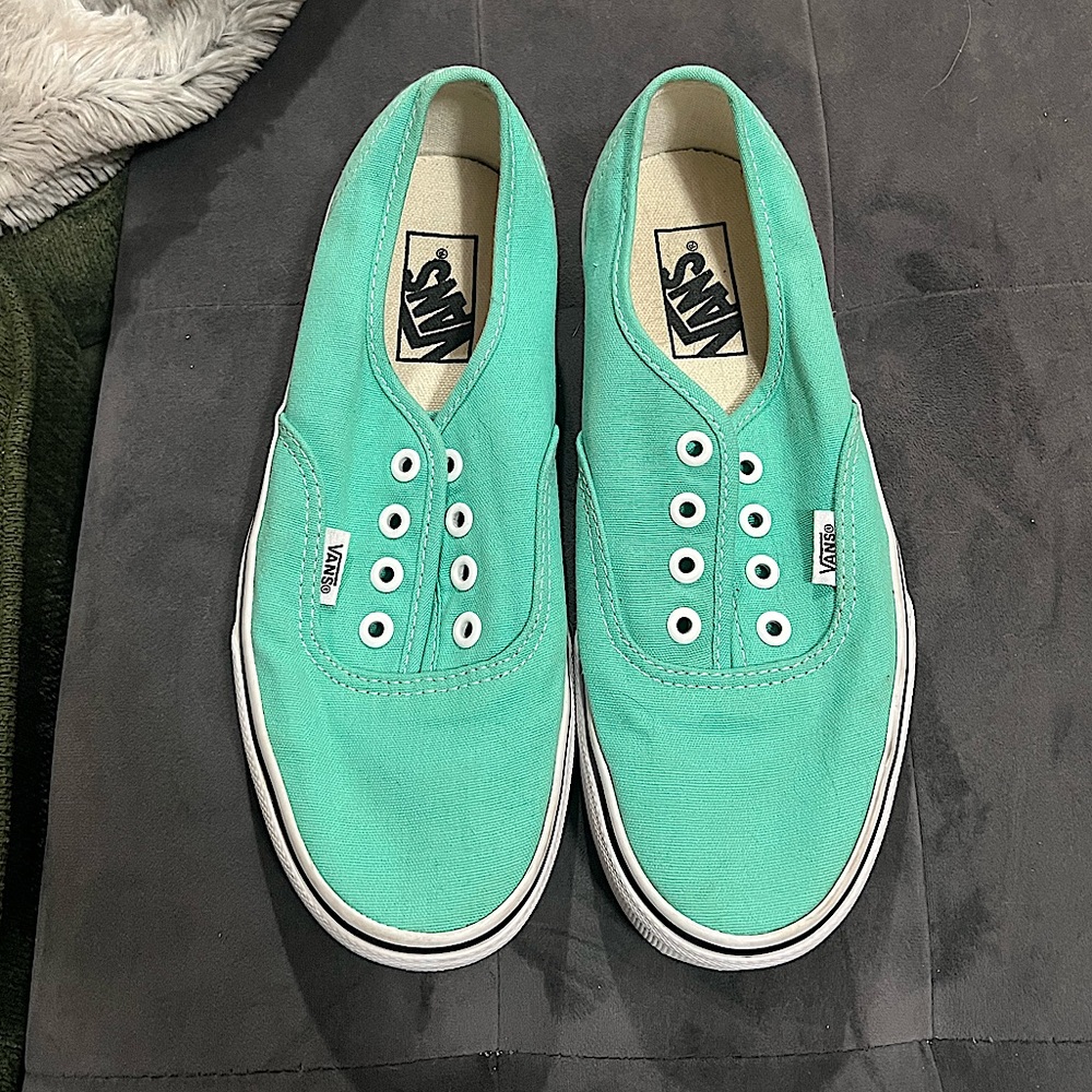 Vans ‘Era’ Model, Low Profile Shoe